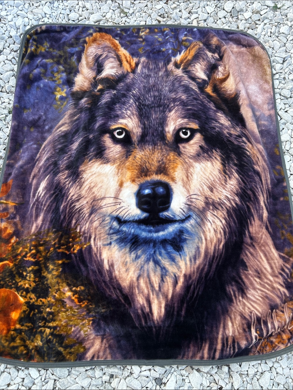 Wolf portrait throw blanket